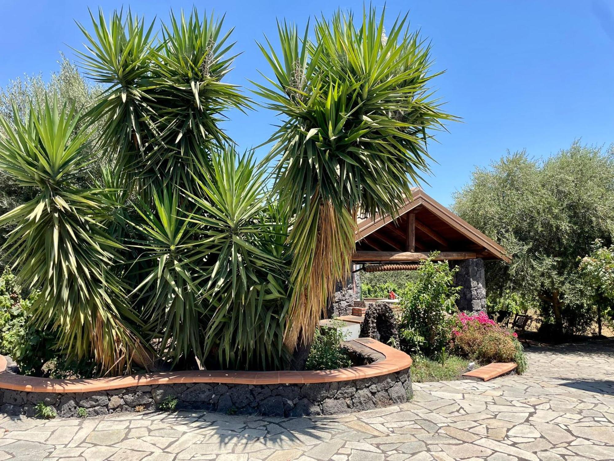 Maison Divaga Fleri Luaran gambar